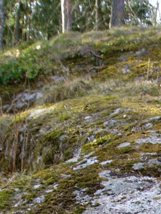 Säbyhällen i sin rätta miljö utefter ridstigen vid Säby gård. - bild: Av Udo Schröter - Eget arbete, CC BY-SA 3.0, https://commons.wikimedia.org/w/index.php?curid=14917766