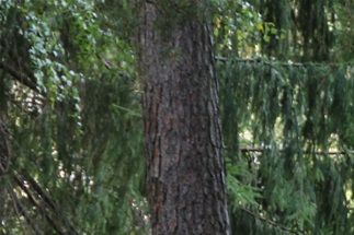 Översikt Granbyhällen. - bild: Av Jssfrk - Eget arbete, CC BY-SA 3.0, https://commons.wikimedia.org/w/index.php?curid=21560040