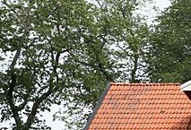 Granby gård, bild från http://hem.bredband.net/lonpat/jarvagardar/