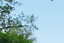 Kista gård, bild från http://hem.bredband.net/lonpat/jarvagardar/